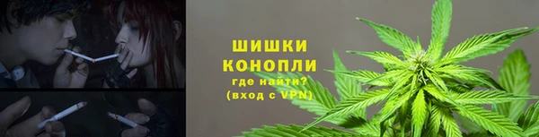 Альфа ПВП Балабаново