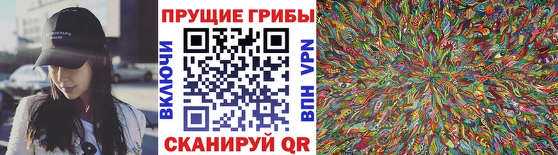 Псилоцибиновые грибы мицелий  Саяногорск 
